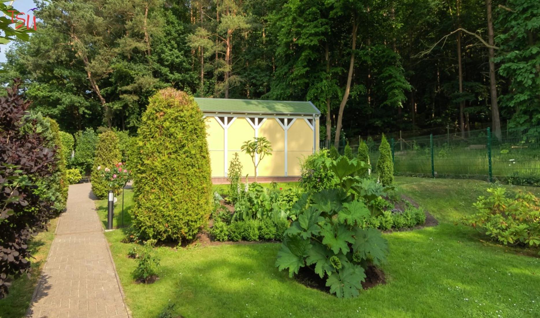 Apartmán Haus Am Wald Heringsdorf  Exteriér fotografie
