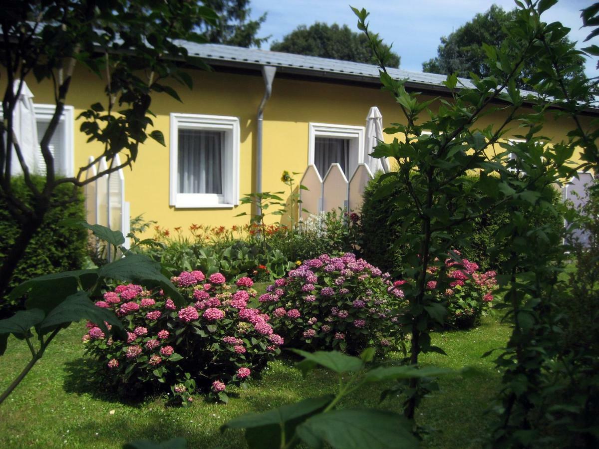 Apartmán Haus Am Wald Heringsdorf  Exteriér fotografie